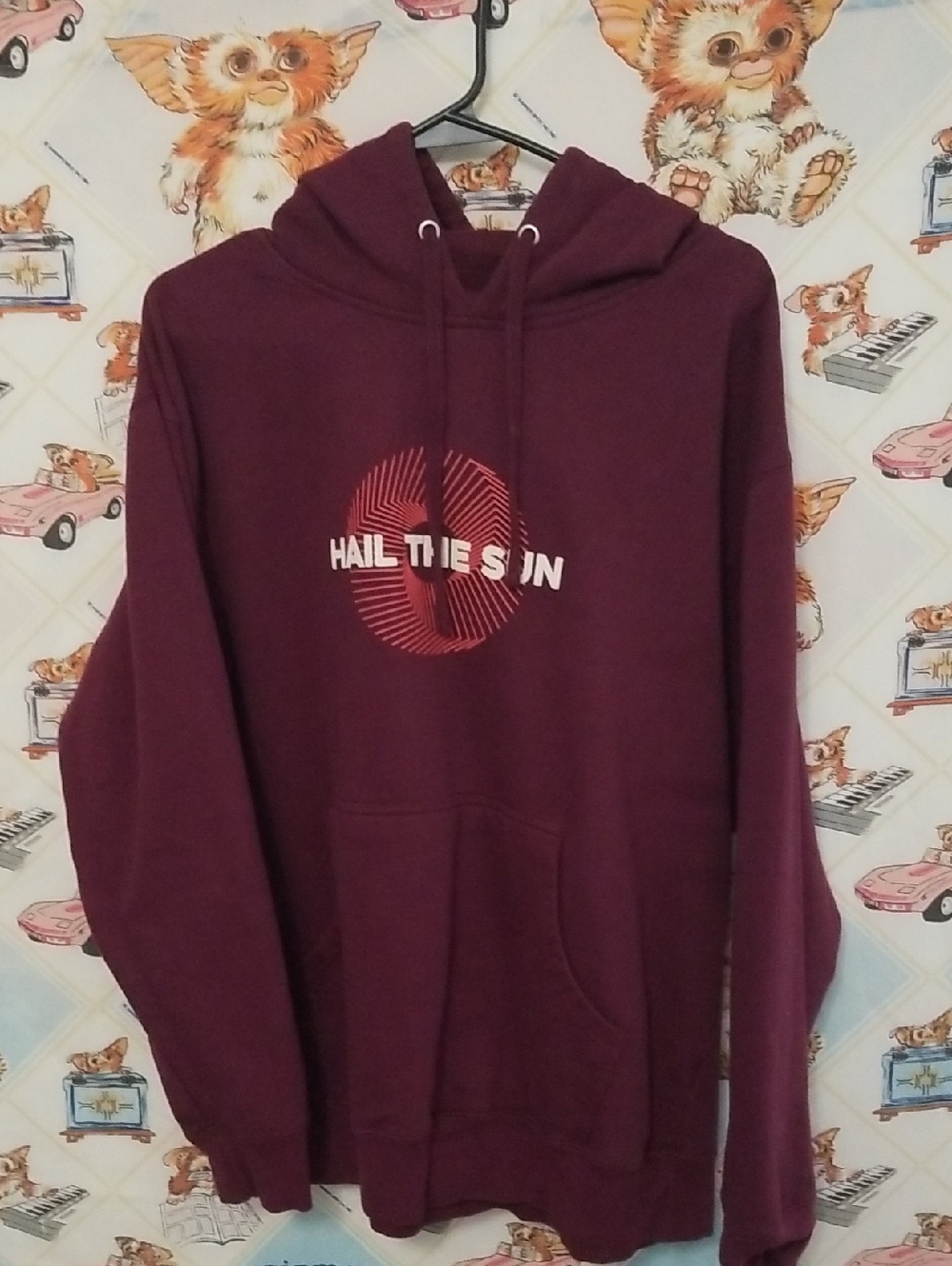 Hail The Sun Divine Inner Tension Rock Band hoodie Size L